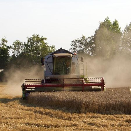 Backhaus Meeresblick Meeschendorf ภายนอก รูปภาพ
